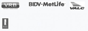 Hình 1 2 Hình logo một số công ty con trực thuộc BIDV Nguồn Ngân hàng BIDV Vị 2