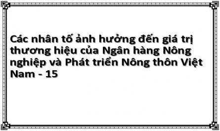 Các nhân tố ảnh hưởng đến giá trị thương hiệu của Ngân hàng Nông nghiệp và Phát triển Nông thôn Việt Nam - 15