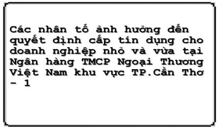 Các nhân tố ảnh hưởng đến quyết định cấp tín dụng cho doanh nghiệp nhỏ và vừa tại Ngân hàng TMCP Ngoại Thương Việt Nam khu vực TP.Cần Thơ - 1