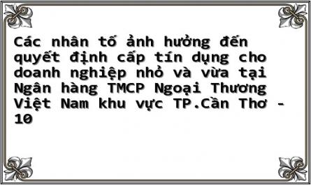 Các nhân tố ảnh hưởng đến quyết định cấp tín dụng cho doanh nghiệp nhỏ và vừa tại Ngân hàng TMCP Ngoại Thương Việt Nam khu vực TP.Cần Thơ - 10
