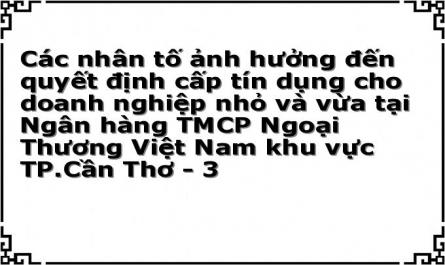 Các nhân tố ảnh hưởng đến quyết định cấp tín dụng cho doanh nghiệp nhỏ và vừa tại Ngân hàng TMCP Ngoại Thương Việt Nam khu vực TP.Cần Thơ - 3