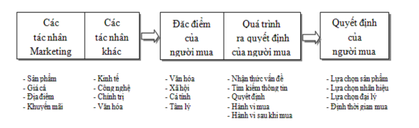 Hình 1 1 Mô hình hành vi người mua Nguồn Philip Kotler Giáo trình marketing căn 1
