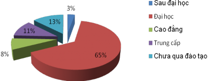 Hình 2 3 Biểu đồ tỷ lệ trình độ nhân lực ngành Ngân hàng 2010 Số liệu trên 4