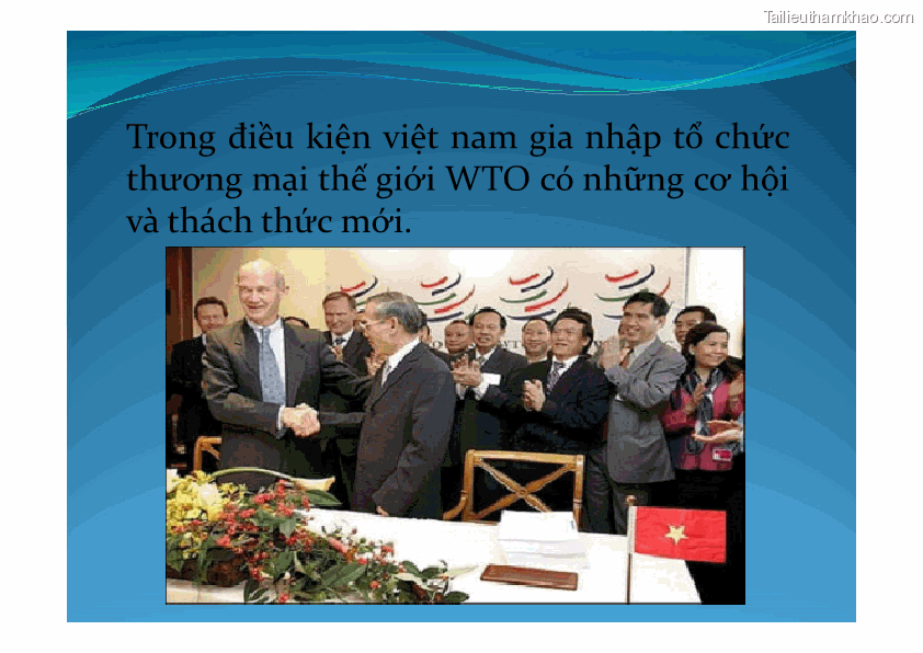 Trong Điều Kiện Việt Nam Gia Nhập Tổ Chức Thương Mại Thế Giới