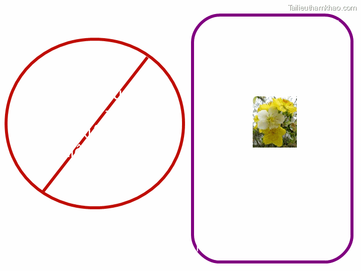 Ủa Y Kiệ Niệ I P