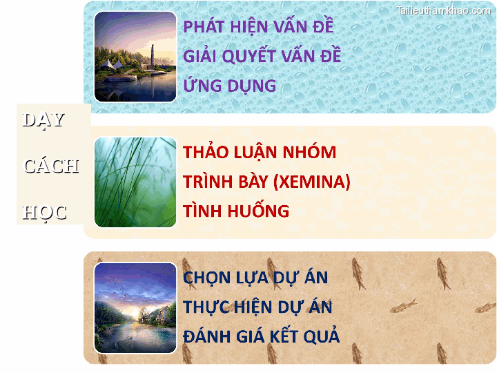 Thao Luan Nhom Tr Nh Bày Xemina Tinh Huong