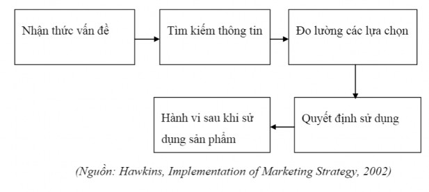 Hình 2 1 Mô hình tiến trình ra quyết định sử dụng 11