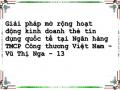 Giải pháp mở rộng hoạt động kinh doanh thẻ tín dụng quốc tế tại Ngân hàng TMCP Công thương Việt Nam - Vũ Thị Nga - 13