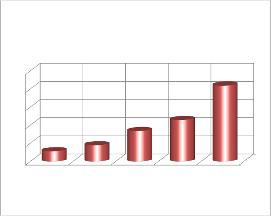 Lợi nhuận ròng Tỷ đồng 10 8 392 8 6 4 2 1 149 0 1 804 3 373 4 598 S 2007 2008 2009 2010 2
