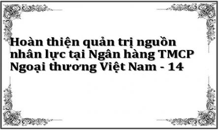 Hoàn thiện quản trị nguồn nhân lực tại Ngân hàng TMCP Ngoại thương Việt Nam - 14