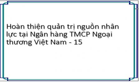 Hoàn thiện quản trị nguồn nhân lực tại Ngân hàng TMCP Ngoại thương Việt Nam - 15
