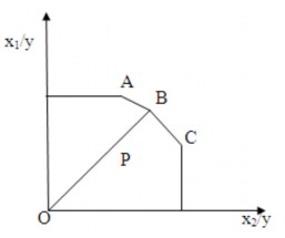 Phụ lục 3 Đồ thị mô tả đường biên CRS và VRS y CRS VRS P C A P P V O x Phụ 5