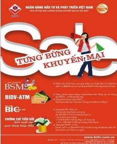 Kể từ khi thị trường ngân hàng Việt Nam có sự tham gia hoạt động của các 1