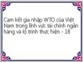 Cam kết gia nhập WTO của Việt Nam trong lĩnh vực tài chính ngân hàng và lộ trình thực hiện - 18