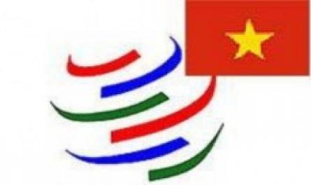 Cam kết gia nhập WTO của Việt Nam trong lĩnh vực tài chính ngân hàng và lộ trình thực hiện - 2