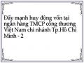 Đẩy mạnh huy động vốn tại ngân hàng TMCP công thương Việt Nam chi nhánh Tp.Hồ Chí Minh - 2