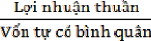 ROE  Cho thấy một đồng vốn chủ sở hữu tạo ra bao nhiêu đồng lợi 36