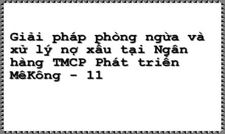 Giải pháp phòng ngừa và xử lý nợ xấu tại Ngân hàng TMCP Phát triển MêKông - 11