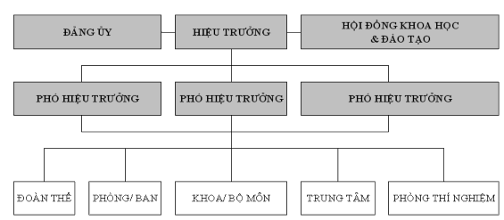 Hình 3 1 Sơ đồ tổ chức trường ĐH KHTN Trong đó Phòng Đào tạo có chức 1