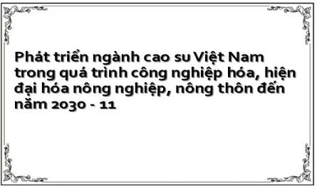 Những Bài Học Kinh Nghiệm Cho Sự Phát Triển Ngành Cao Su Việt