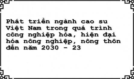 Phát triển ngành cao su Việt Nam trong quá trình công nghiệp hóa, hiện đại hóa nông nghiệp, nông thôn đến năm 2030 - 23