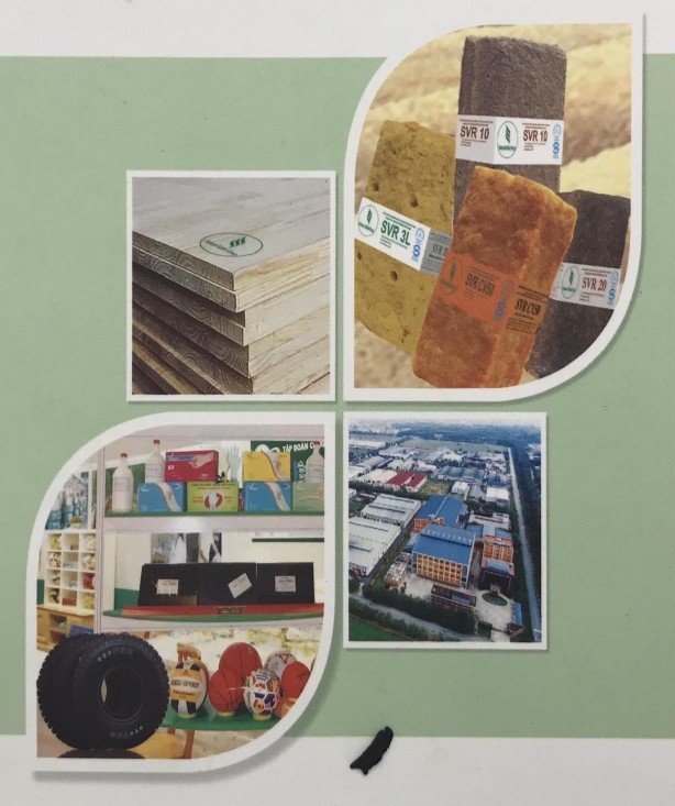 Nguồn Tập đoàn Công nghiệp Cao su Việt Nam 2020 Nguồn Công ty cổ phần Chế 4