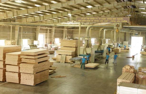 Nhà máy chế biến Gỗ Cao su Trường Phát Công ty CP Cao su Phước Hòa Nguồn 9