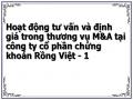 Hoạt động tư vấn và định giá trong thương vụ M&A tại công ty cổ phần chứng khoán Rồng Việt