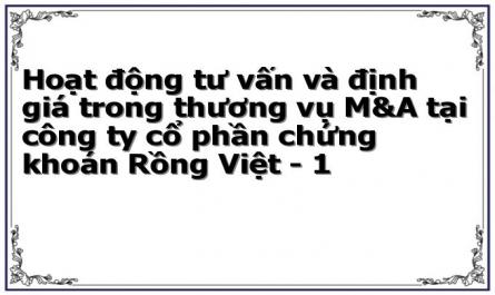 Hoạt động tư vấn và định giá trong thương vụ M&A tại công ty cổ phần chứng khoán Rồng Việt - 1