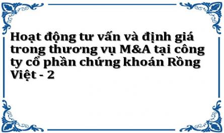 Hoạt động tư vấn và định giá trong thương vụ M&A tại công ty cổ phần chứng khoán Rồng Việt - 2
