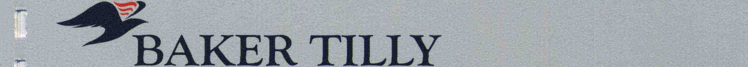 B O C O T I CH NH NAM TAI CHINH KIT THUC NGAY 31 THANG 12 NAM 2012 C NG TY CO PH N TU V N 4