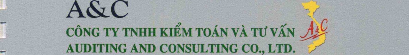 B O C O T I CH NH NAM TAI CHINH KIT THUC NGAY 31 THANG 12 NAM 2012 C NG TY CO PH N TU V N 5