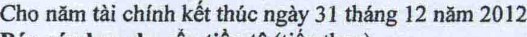 Mt Thuyét N mmmW Tien thu tio phát húnh cf phiéu nh n góp vdn cúa chú só httu 31 Vü7 VII 32