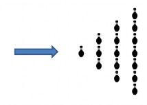 Trẻ với nhau hoặc các nhóm Cả lớp đồng loạt thực hiện bài tập trẻ 11