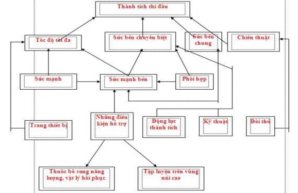 Sơ đồ 1 1 Cấu trúc các yếu tố ảnh hưởng đến thành tích thi đấu của VĐV 1