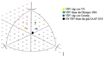 Hình 3 2 Cấu trúc hình thể Somatotype của VĐV cấp cao Việt Nam với các công 17
