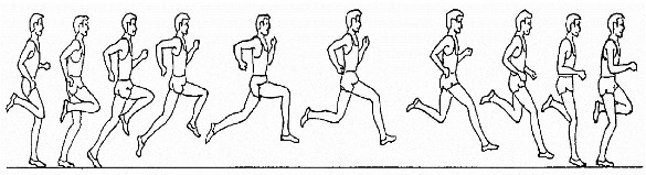 Hình 1 3 Kỹ thuật chạy giữa quãng của VĐV chạy 100m 5  Về đích Tốc 3