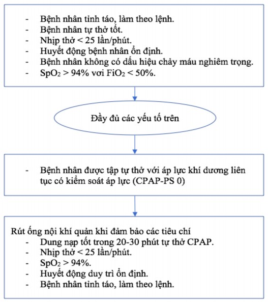 Phác đồ đánh giá rút nội khí quản trên bệnh nhân sau mổ tim hở 85 Số 1