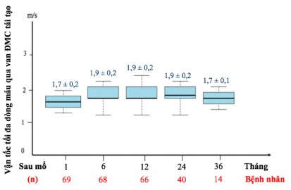 Biểu đồ 3 19 Vận tốc tối đa dòng máu qua van động mạch chủ tái tạo Nhận 6