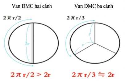 Hình 4 11 Chiều dài bờ tự do trong trường hợp van động mạch chủ hai cánh van 2