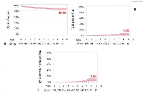 Thuật lại và tỷ lệ hở van ĐMC tương ứng là 85 9 4 2 và 7 3 Hình 1 19 18 7