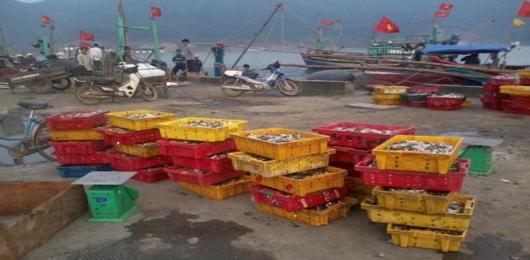 7 1 1a Cảng cá Thạch Kim huyện Lộc Hà Hà Tĩnh Nguồn tác giả Tháng 4 2014 1