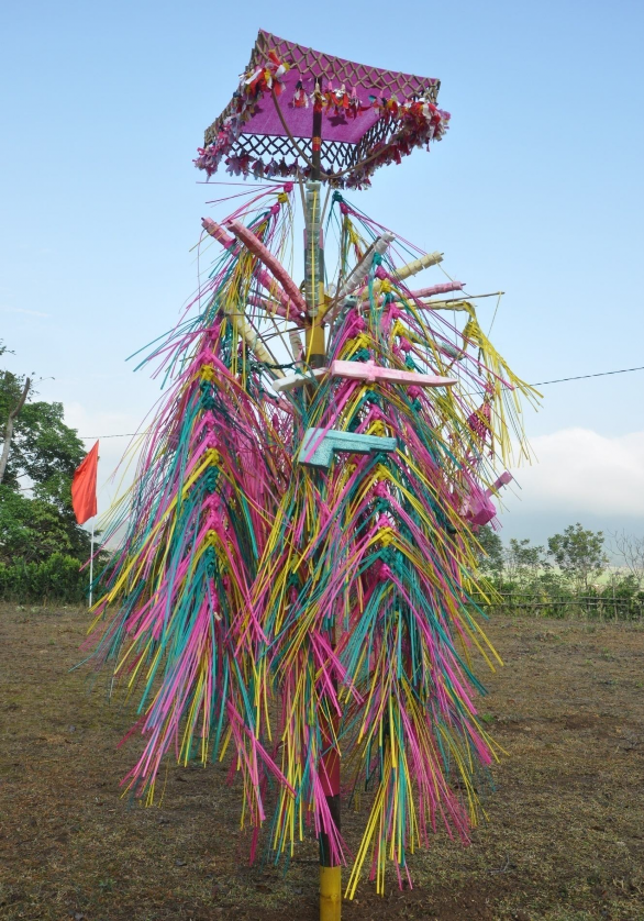 Hình 17 Cây nêu được dựng trước sân đền Chiềng Ngam trước khi là lễ yết 9