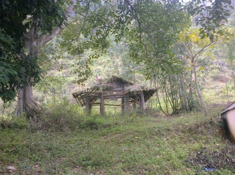 1 2 Phế tích đình làng Bắc Sơn Nguồn Tác giả chụp ngày 23 02 2015 1 3 Đám 2