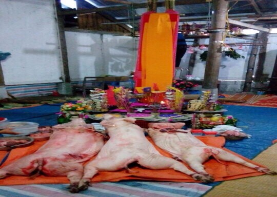 3 7 Cầu hào quang và lễ vật Nguồn Tác giả chụp tại xã Tân Lập huyện 6