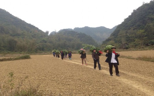 3 8 Nghi thức Bắt ngựa về phục vụ cho lễ tăng sắc Nguồn Tác giả 7