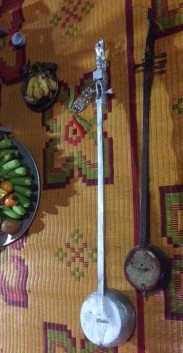 5 2 10 Đàn tính 5 2 11 Đầu đàn tính Nguồn Tác giả chụp ngày 27 07 2016 tại 14