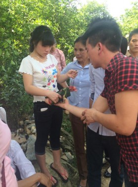 Ảnh 31 Mùi te tặng thịt cho cô dâu Nguồn Vũ Thị Uyên chụp tại xã Ba Vì 5