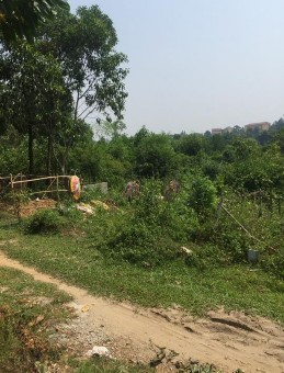 Ảnh 82 Nghĩa địa của người DQC ở Ba Vì Nguồn Vũ Thị Uyên chụp tại xã Ba 12