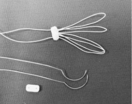 Hình 4 2 Dây chằng nhân tạo có chiều dài định sẵn 87 Dây chằng nhân tạo 1